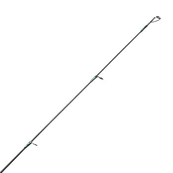 31+jEGFsvEL._UF350,350_QL80_.jpg